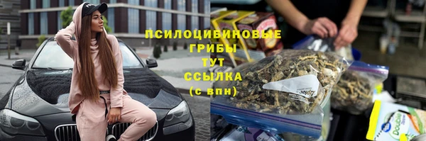 MESCALINE Каменка