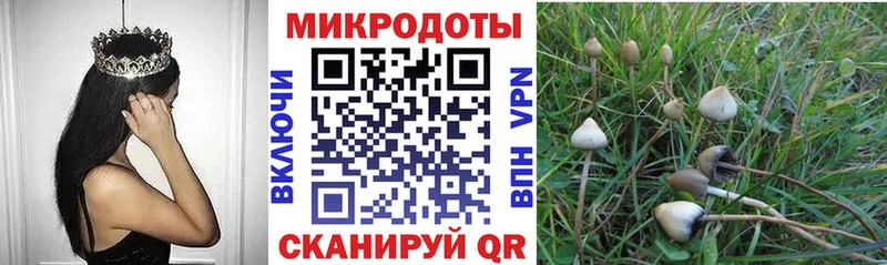 Псилоцибиновые грибы Psilocybine cubensis Купить закладки Барабинск